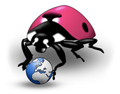 dbug logo - a hotpink ladybird examines the world wide web